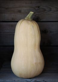 Curing Squash for Better Flavor Image